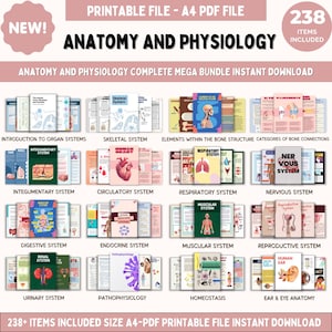 Anatomy and Physiology Mega Bundle | Human Anatomy for Nursing Students | Flashcards, Cheat Sheets, Notes, Book & Worksheets, Flash Cards