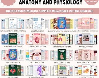 Anatomy and Physiology Mega Bundle | Human Anatomy for Nursing Students | Flashcards, Cheat Sheets, Notes, Book & Worksheets, Flash Cards