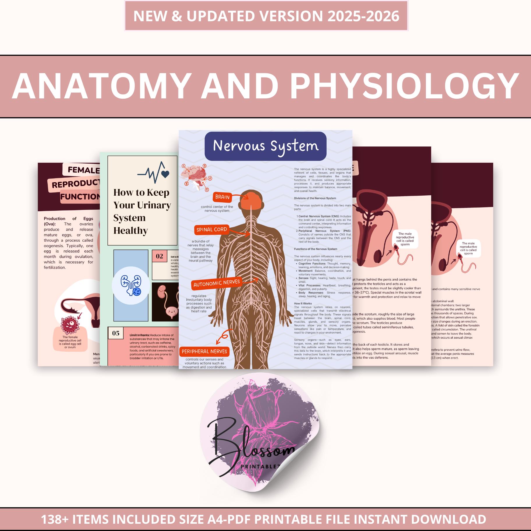 Anatomy and Physiology Mega Bundle | Human Anatomy for Nursing Students ...