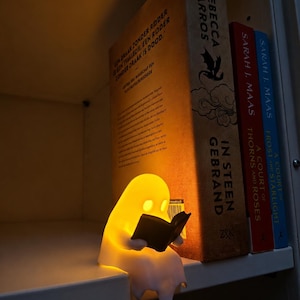 May include: A small, glowing, white ghost-shaped lamp sits on a shelf, holding a miniature black book. Behind the lamp are three books: "In Steen Gebrand" by Rebecca Yarros, "A Court of Thorns and Roses" by Sarah J. Maas, and "A Court of Frost and Starlight".
