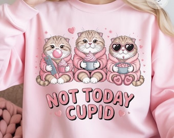 Not Today Cupid Cat PNG, Anti-Valentine Clipart (Digital Download)