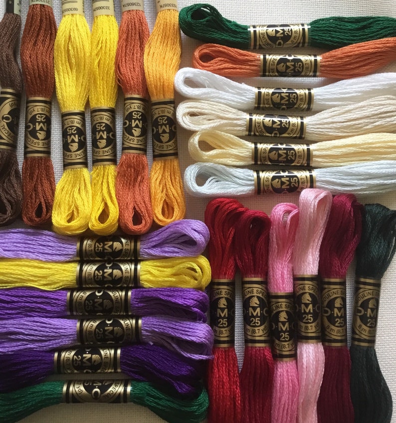 DMC Floss Flower Color 6 Packs Embroidery Thread Etsy Denmark