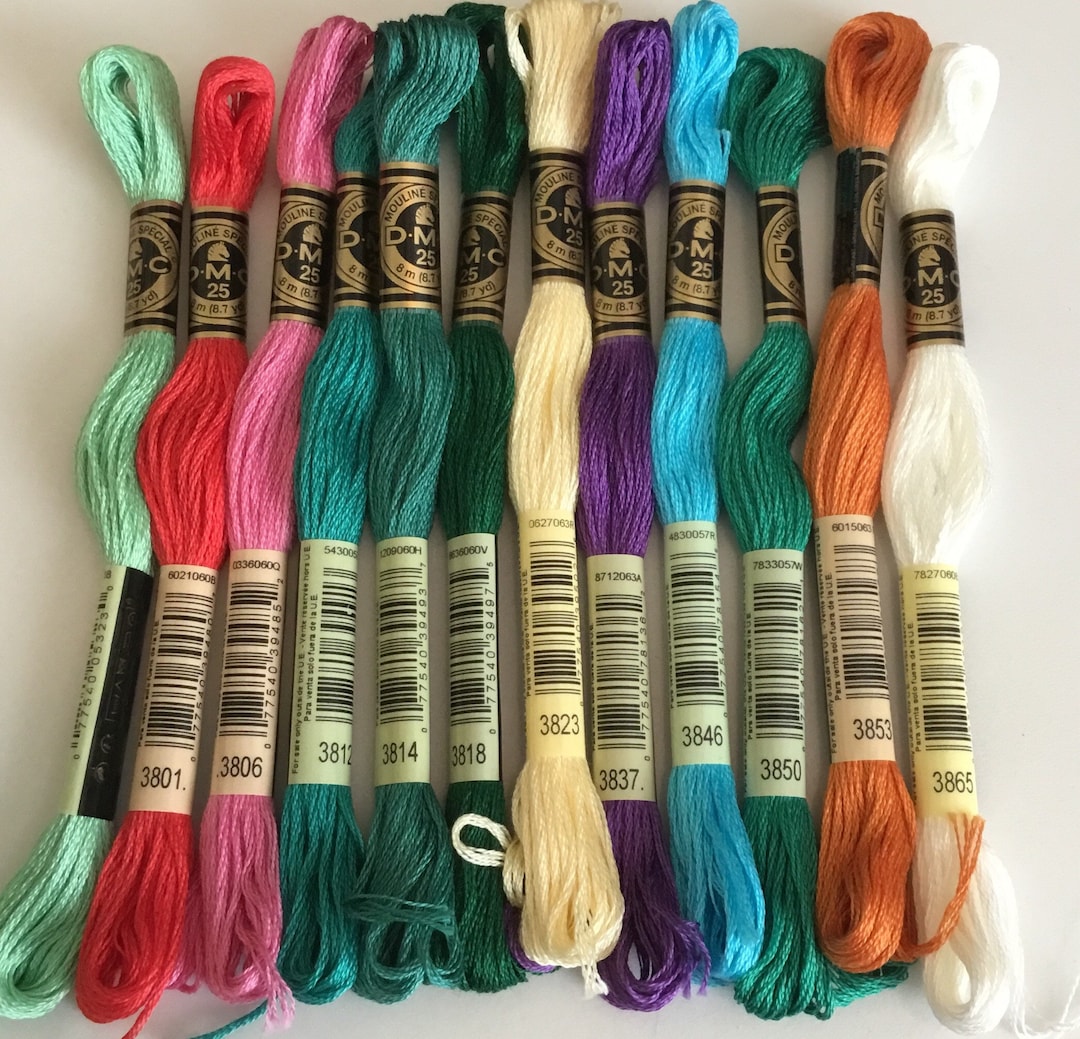DMC Floss Assortment 12 Pack Embroidery Thread 3865 B Etsy