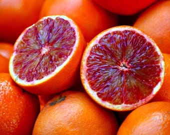 Live Blood Orange Tree – 1 Gal Pot – 2–3 ft Tall – Grafted Citrus – No Shipping To Ca, Hi, Pr, Gu, and Ak