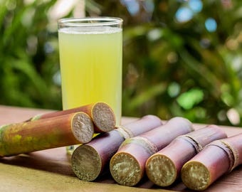 20 Purple Sweet Sugarcane Cuttings – Fresh Sugar Cane – 2–3" Tall – Healthy Plant Starts – No Shipping To Ca, Hi, Pr, Gu, Ak
