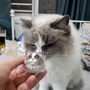 May include: A large grey and white cat gazes at a small sculpture of a cat held in a hand. The miniature cat has blue eyes and a grey and white coat, resembling the larger cat's features.
