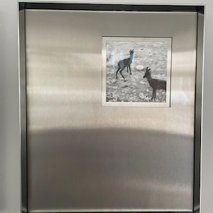May include: A rectangular wall art piece featuring a brushed stainless steel frame and a central square inset. The inset displays a black and white image of two dark-colored goats standing in a field with scattered white flowers and a small white object.