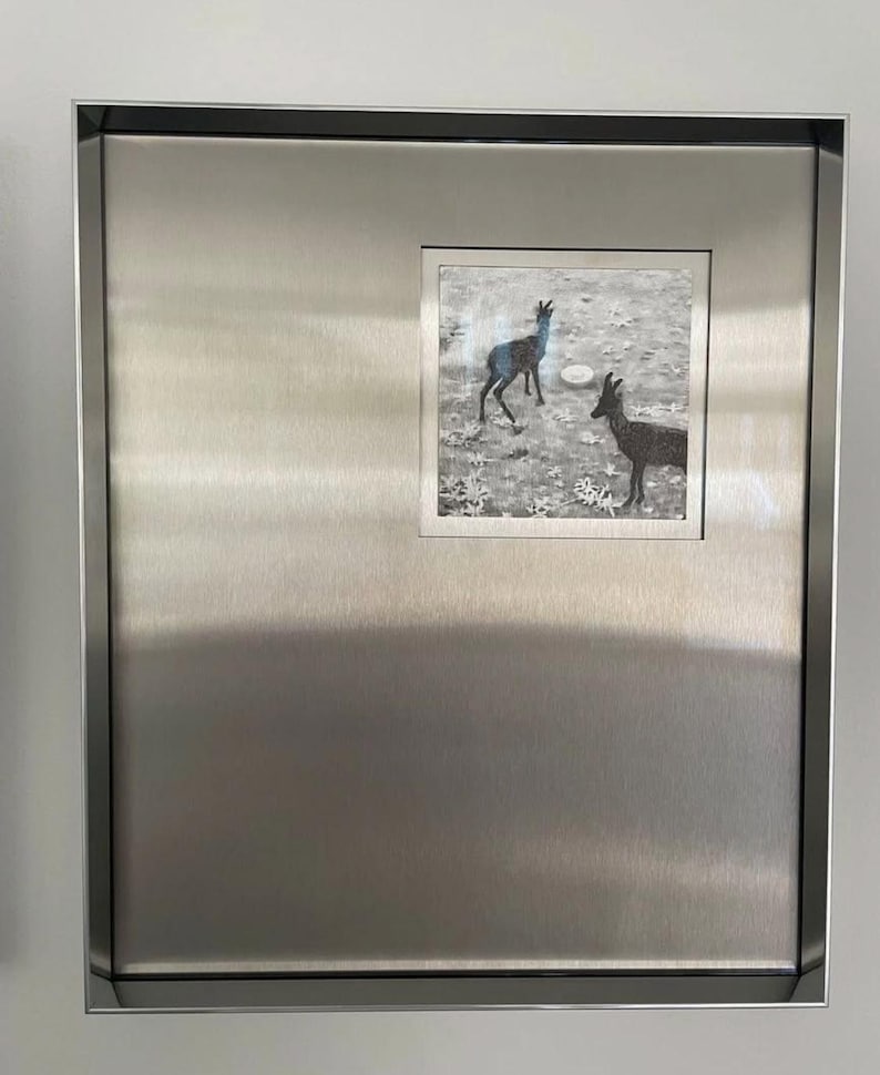 May include: A rectangular wall art piece featuring a brushed stainless steel frame and a central square inset. The inset displays a black and white image of two dark-colored goats standing in a field with scattered white flowers and a small white object.