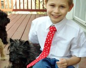 Valentines Necktie for Little Boys