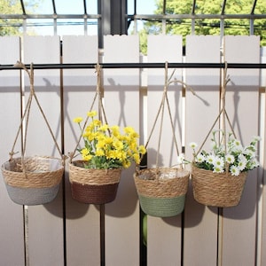 May include: Four hanging woven baskets with rope hangers, each filled with flowers. The baskets have a two-tone design with a natural fibre top and a coloured bottom in grey, brown, and green. The flowers are yellow and white.