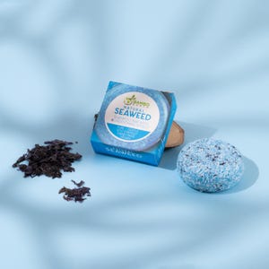 Peut inclure: Un pain de shampooing bleu à l'algue, à côté d'une boîte avec les mots "Natural Seaweed" et un tas d'algues séchées. Le pain de shampooing est rond et de couleur bleu clair avec des taches sombres. La boîte est bleue et blanche.