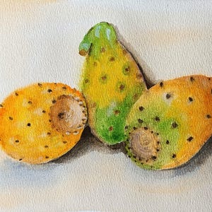 Original Prickly Pear Watercolor. Small Kitchen Art Sketch.