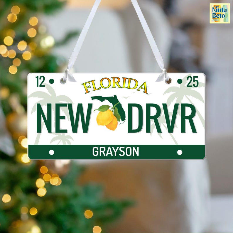 new driver ornament hanging on christmas tree, custom state driver gift ornament