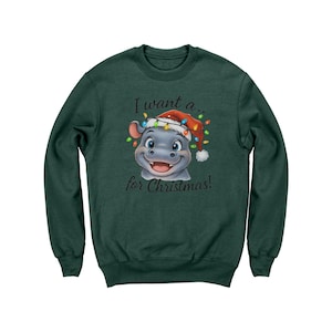 Baby Hippo Christmas Sweatshirt, Santa Hat, Kids Holiday Outfit