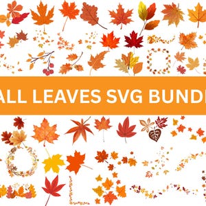 Herbstlaub SVG Bundle: Herbst Blatt Clipart (digitaler Download)