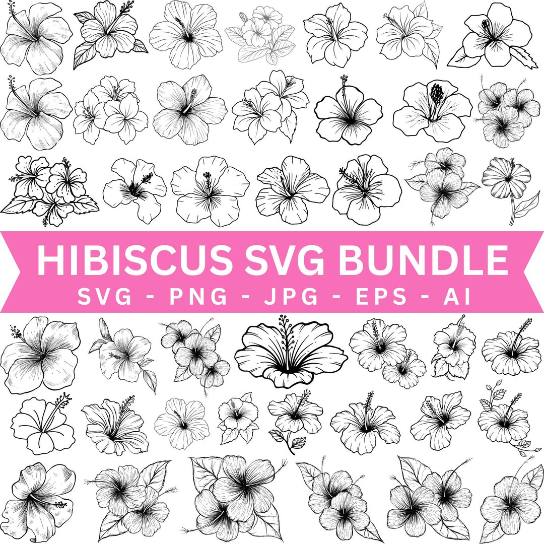 Hibiscus Flower SVG PNG Clipart Bundle | Tropical Floral Line Art Set ...