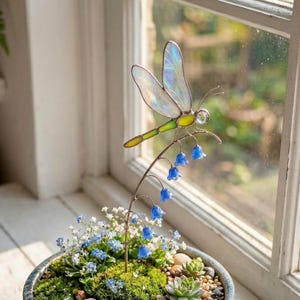 May include: A ceramic pot with a miniature garden, including moss, small stones, and succulents. A glass dragonfly and blue flowers are placed in the center. The pot is on a white windowsill.