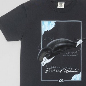 May include: Dark gray t-shirt featuring a detailed illustration of a Bowhead Whale. The design includes the scientific name, measurements, and a stylized image of the whale within a rectangular frame. The shirt has a crew neck and short sleeves.