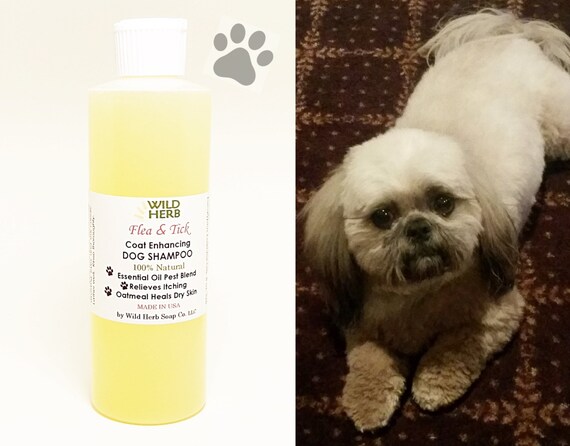 essential dog natural dog shampoo