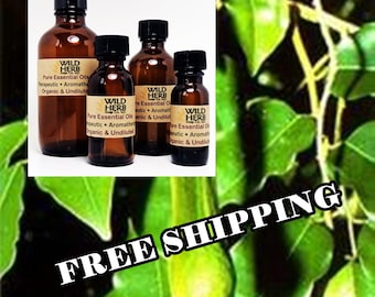 BALSAM OF PERU, Organic | Wholesale Prices - Bulk Sizes | Direct from Distiller | Pure, Fresh, Uncut | Therapeutic - Aromatherapy Grade