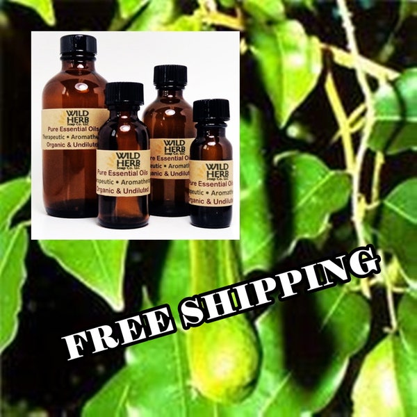 BALSAM OF PERU, Organic | Wholesale Prices - Bulk Sizes | Direct from Distiller | Pure, Fresh, Uncut | Therapeutic - Aromatherapy Grade