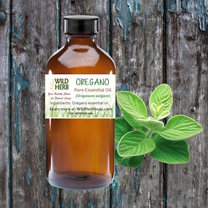 Pure OREGANO Essential Oil Distiller Direct| Full Therapeutic Grade | DIY Ingredients | Topical Application Diffuser Candles Lotion Soap