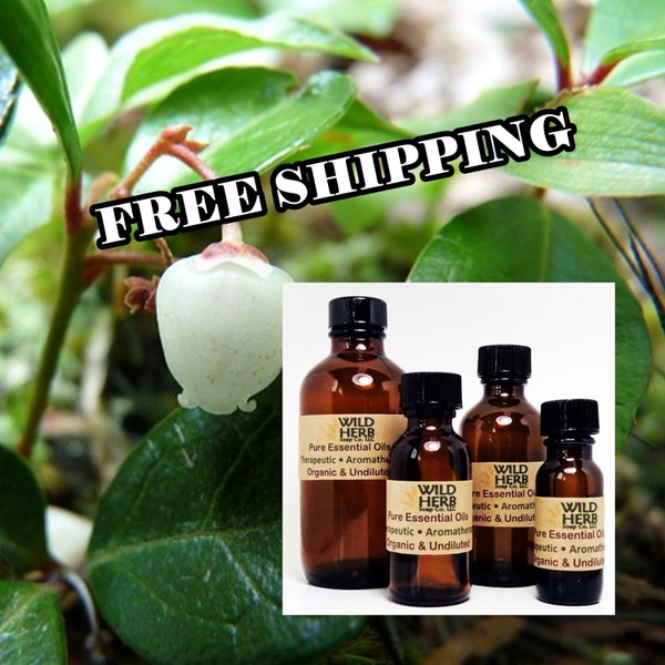 ORGANIC WINTERGREEN Pure Essential Oil | Uncut, Full Strength, Distiller Direct | Fast Free Shipping | Wholesale Pricing + Bulk Sizes