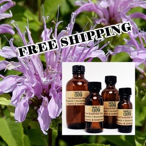 BERGAMOT Essential Oil (Pure, Organic, Full Strength) Bergaptene Free | 1/2 oz up to Bulk Sizes | Wholesale Prices | Fast, Free Shipping