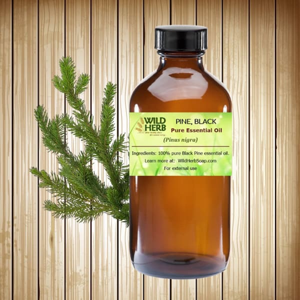 ORGANIC PINE Essential Oil | Pure Therapeutic Grade | Aromatherapy | Candle, Bath & Body Scents | Bulk Sizes + Wholesale Prices | Fast Ship