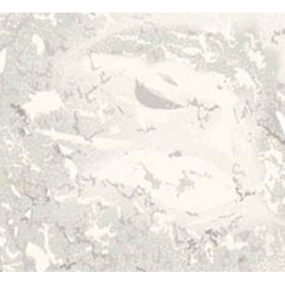Arrowroot Powder (Root Starch) Certified Organic Source