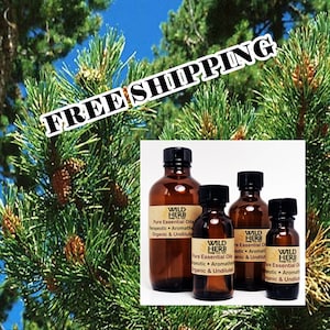 ORGANIC PINE Essential Oil Pure Therapeutic Grade Aromatherapy Candle, Bath & Body Scents Bulk Sizes Wholesale Prices Fast Ship image 2