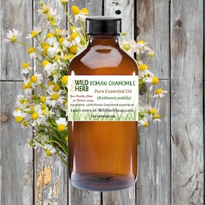 May include: A brown glass bottle with a black cap, labeled "WILD ROMAN CHAMOMILE HERB Pure Essential Oil (Anthemis nobilis)". The label also includes the text "Your Healthy Choice for Natural Living" and "Ingredients: 100% Roman Chamomile essential oil. Learn more at: WildHerbSoap.com For external use."