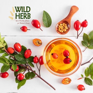 Pure Virgin Rose Hip Seed Oil Certified Organic Manufacturer Supplier Cold Pressed Genuine Undiluted Face Body Beauty Serums Ingredients