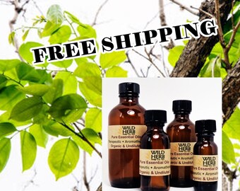 Organic Amyris Essential Oil (West Indian Sandalwood) | .5 oz thru 8 oz | Direct from Certified Organic Distiller | Pure, Uncut, Fresh