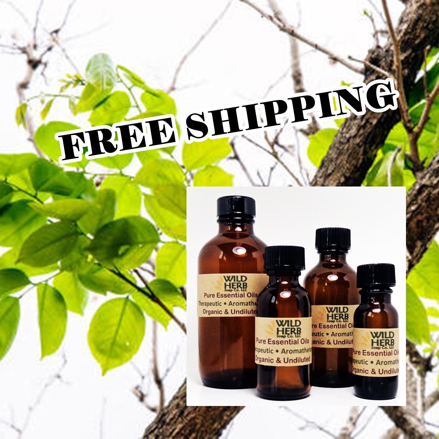 Amyris Essential Oil