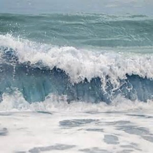 OCEAN MIST Premium Fragrance Oil | Use in Perfume, Body Oil, Lotion, Soap, Incense, Burners & More! Fast Free Shipping | Choose Size