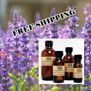 CLARY SAGE Organic Pure Essential Oil | Therapeutic Aromatherapy Grade | Distiller Direct for Best Pricing! Diffusers, Bath-Body Products