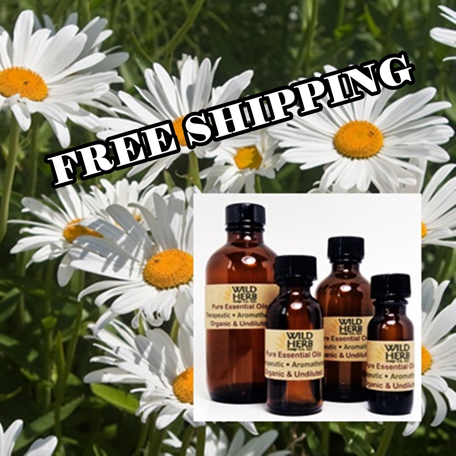 The Vitamin Shoppe Roman Chamomile Comforting & Relaxing Aromatherapy 100% Pure Essential Oil (1 oz)