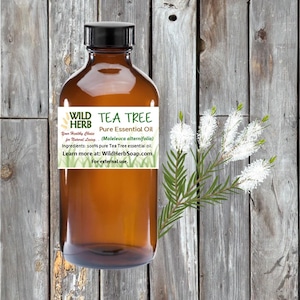 ORGANIC TEA TREE Distiller Direct Essential Oil | Melaleuca Pure Therapeutic Aromatherapy Grade | Wholesale Pricing |Bulk Sizes | Wild Herb