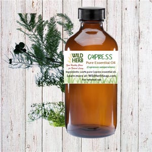 Cypress Certified Organic Distiller Essential Oil Pure Therapeutic Top Quality Grade Best Oils Aromatherapy DIY Soap Lotion Topical Diffuser