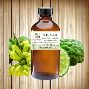 Bergamot Pure Essential Oil Bergaptene Free Certified Organic Distiller Source Wild Herb Aromatherapy Make Lotion Soap Candles Fragrance