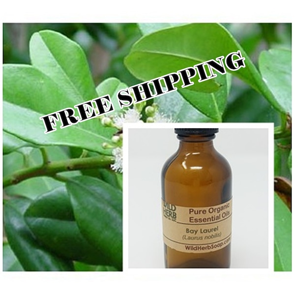 ORGANIC BAY LAUREL  Essential Oil (Bay Leaf) | 1/2 oz & up | Fast, Free Shipping | Pure Therapeutic Grade | Aromatherapy Use | Diffusers