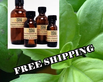 ORGANIC BASIL Essential Oil (Sweet Basil) | Wholesale Pricing + Bulk Sizes | Pure, Uncut, Fresh | Direct from Distiller | Therapeutic Grade