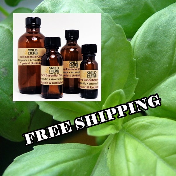 ORGANIC BASIL Essential Oil (Sweet Basil) | Wholesale Pricing + Bulk Sizes | Pure, Uncut, Fresh | Direct from Distiller | Therapeutic Grade