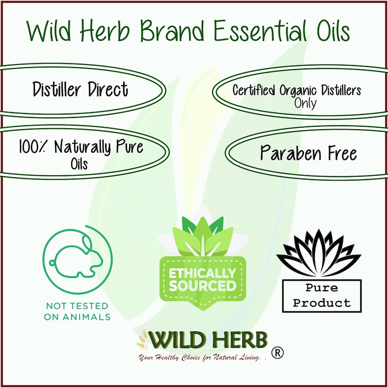 May include: Green and white logo for Wild Herb Brand Essential Oils. The logo features a green leaf design with the text "Wild Herb" in a white font. The text "Your Healthy Choice for Natural Living." is below the logo. The logo is surrounded by eight green and white circles with text describing the product's features. The text includes "Distiller Direct", "100% Naturally Pure Oils", "Certified Organic Distillers Only", "Paraben Free", "Not Tested on Animals", "Ethically Sourced", "Pure Product", and "R".