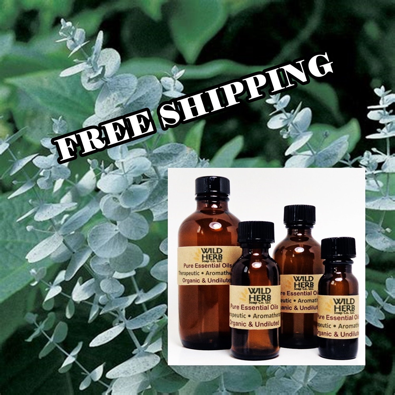 ORGANIC EUCALYPTUS Essential Oil | Pure Therapeutic Grade | .5 oz to …