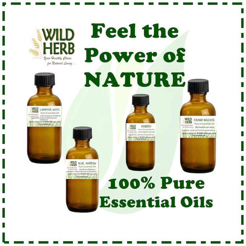 Pode incluir: Quatro garrafas de vidro &acirc;mbar com r&oacute;tulos que dizem "Wild Herb" e listam diferentes &oacute;leos essenciais: Canfora Branca, Mirra, Majorana Azul e Incenso. As garrafas est&atilde;o dispostas em uma fileira sobre um fundo branco. O texto "Sinta o poder da natureza" est&aacute; acima das garrafas, e o texto "100% &Oacute;leos essenciais puros" est&aacute; abaixo das garrafas.