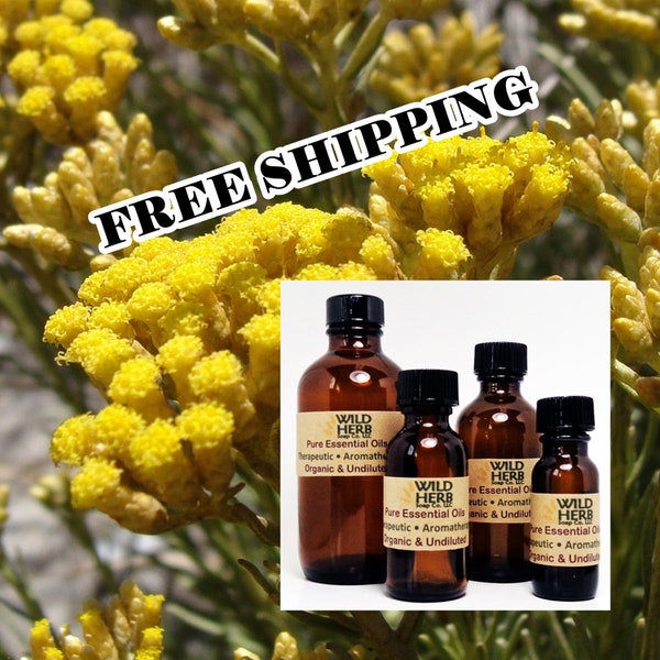 HELICHRYSUM ITALICUM, ORGANIC | 100% Pure Essential Oil Aromatherapy - Therapeutic Grade |  .5 oz thru 8 oz | Fast Shipping | Bulk Sizes Too