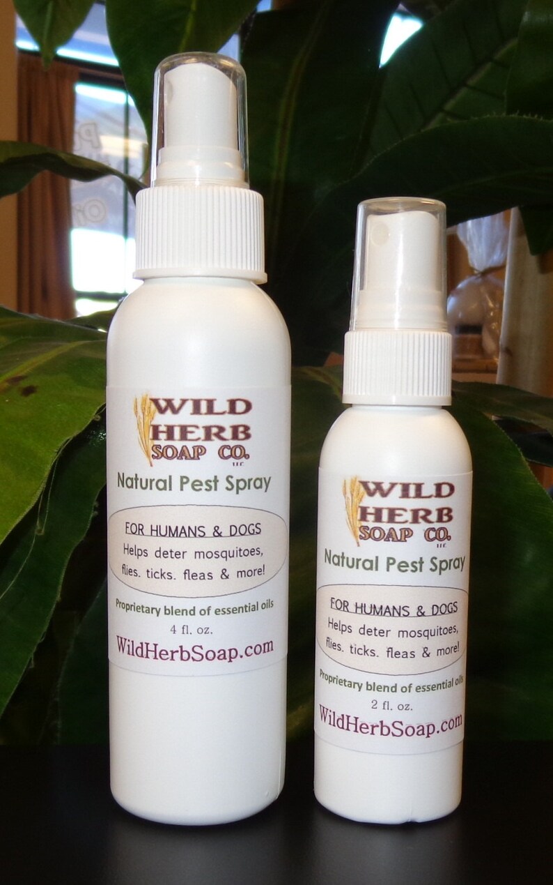 NATURAL Pest & Bug Repellent Spray Humans and Dogs Organic Etsy
