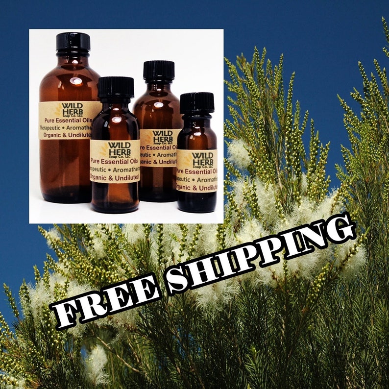 ORGANIC TEA TREE Essential Oil Melaleuca Pure Therapeutic